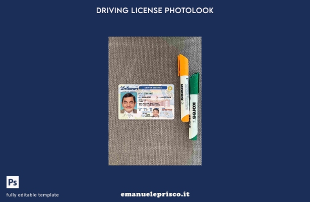 modello FRONTALE photolook USA Delaware DL stile verificato